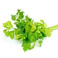 Celery leaves